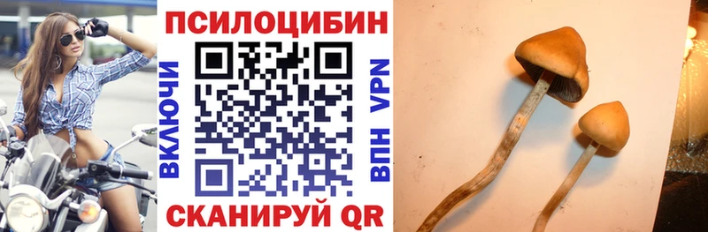 купить наркотики сайты  кракен маркетплейс  Галлюциногенные грибы MAGIC MUSHROOMS  Ленинск 