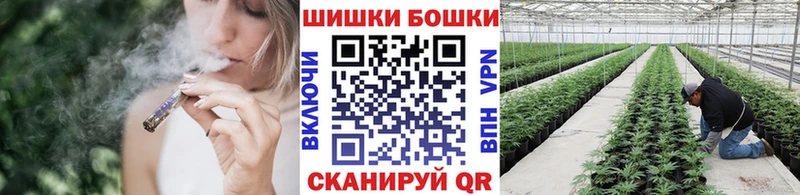 Бошки марихуана индика  где купить   Ленинск 